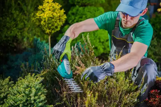 landscaping services Mill Neck